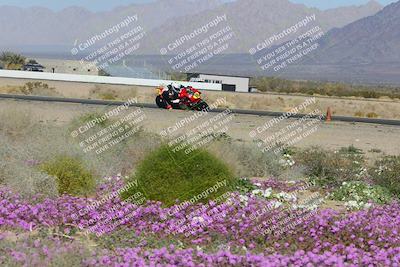 media/Feb-04-2023-SoCal Trackdays (Sat) [[8a776bf2c3]]/Turn 15 Inside Blooming (1050am)/